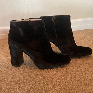 Madewell The Nealy Boot in Velvet. Size 8. EUC. Like new.